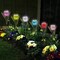 6XPcs Outdoor Solar Powered LED Tulip Flower Lights Garden Lawn Decor Lamp